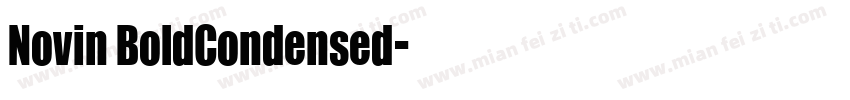 Novin BoldCondensed字体转换